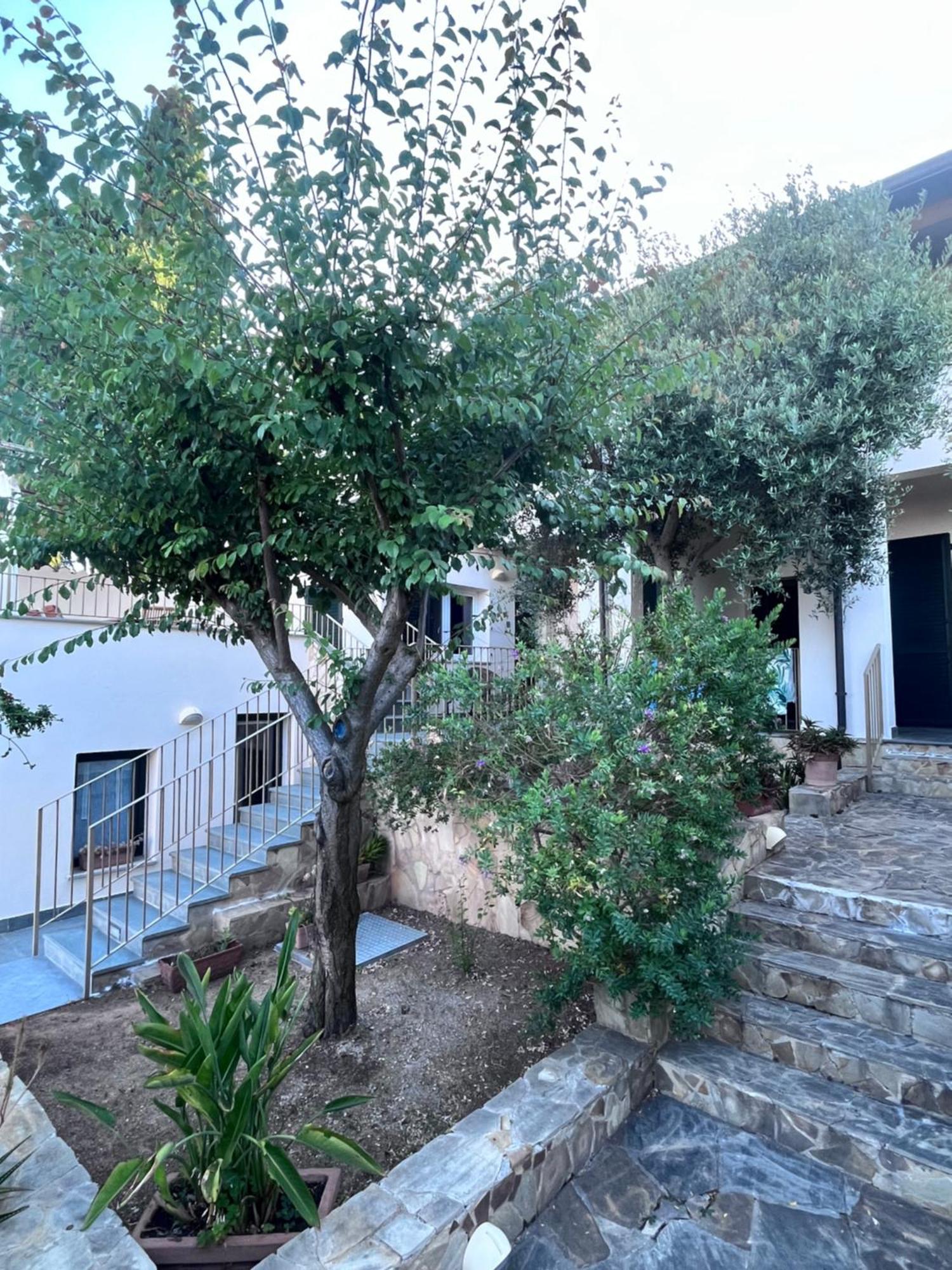 Villa Fatta Di Sogni 풀라 외부 사진
